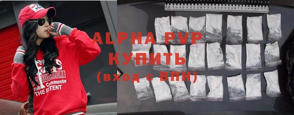 стаф Кущёвская