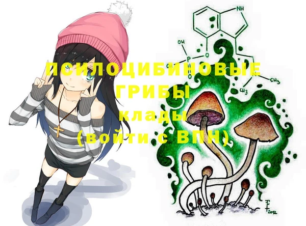 мефедрон Нефтегорск