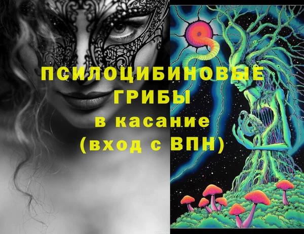ГАЛЛЮЦИНОГЕННЫЕ ГРИБЫ Иноземцево