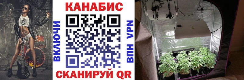 Конопля VHQ  купить наркотик  Горбатов 